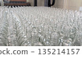 Empty glass bottles arranged on a production line in a large factory 135214157