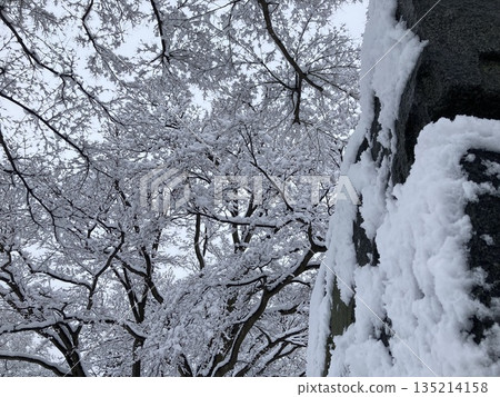 Morioka Castle Ruins Park covered in fresh snow 135214158