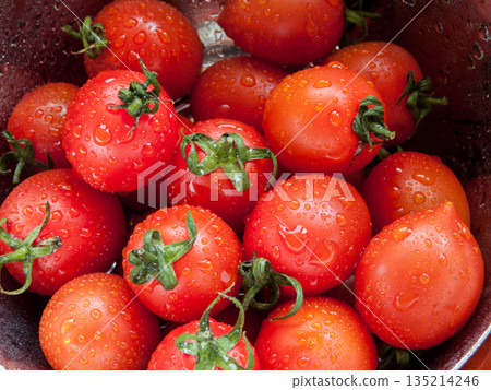 Bunch of fresh red cherry tomatoes rinsed in the bowl with water in the sink, close up of tomatoes in the bowl covered with water drops. 135214246