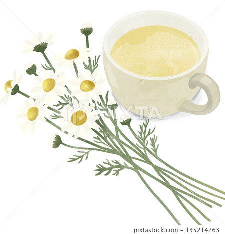 Watercolor style illustration of chamomile flowers with a warm cup of chamomile tea. 135214263