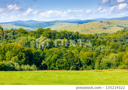 rural landscape in carpathian mountains on a sunny day. green grass on rolling hill and distant peak under cloudy sky in early autumn. countryside scenery of ukraine. alpine pasture of transcarpathia rural landscape in carpathian mountains on a sunny day. green grass on rolling hill and distant peak under cloudy sky in early autumn. countryside scenery of ukraine. alpine pasture of transcarpathia 135214322