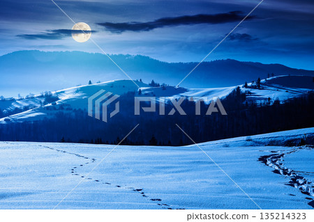 beautiful winter landscape with snow covered rolling hills under dark sky at night. majestic mountains in full moon light. frosty countryside scenery. backdrop for fiction art or mystery concepts beautiful winter landscape with snow covered rolling hills under dark sky at night. majestic mountains in full moon light. frosty countryside scenery. backdrop for fiction art or mystery concepts 135214323