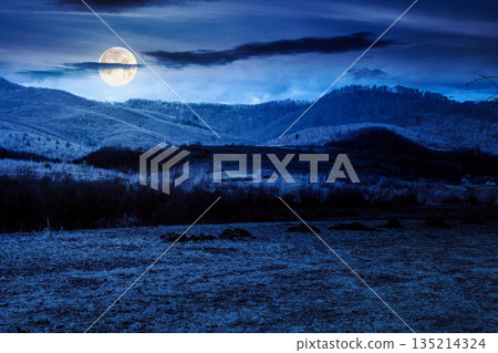 beautiful view of countryside scenery with field in march in full moon light. backdrop for fiction art or mystery concepts beautiful view of countryside scenery with field in march in full moon light. backdrop for fiction art or mystery concepts 135214324