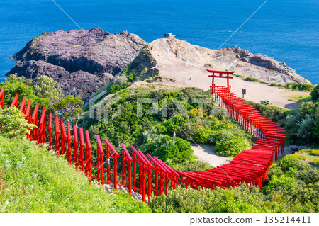 山口縣元乃隅神社鳥居 山口縣元乃隅神社鳥居 135214411