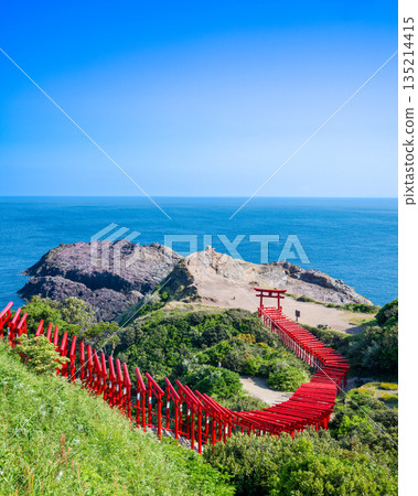 山口縣元乃隅神社鳥居 山口縣元乃隅神社鳥居 135214415