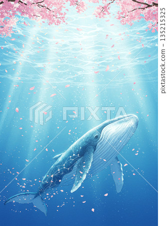 Whales and Cherry Blossoms Whales and Cherry Blossoms 135215325