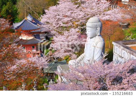 [奈良縣]櫻花盛開的坪坂寺（櫻花大佛） 135216683