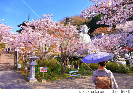 [Nara Prefecture] Tsubosaka Temple (Sakura Daibutsu) with cherry blossoms in full bloom 135216688