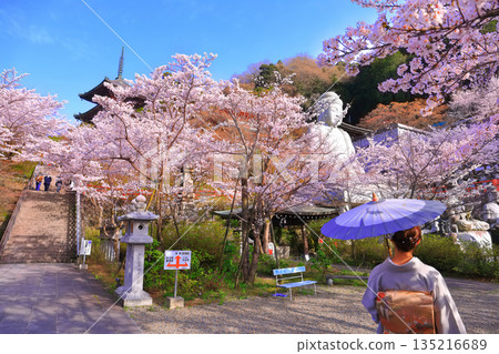 [奈良縣]櫻花盛開的坪坂寺（櫻花大佛） 135216689