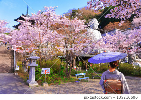 [奈良縣]櫻花盛開的坪坂寺（櫻花大佛） 135216690