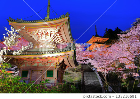 [奈良縣]櫻花盛開的坪坂寺夜景（櫻花大佛） 135216691