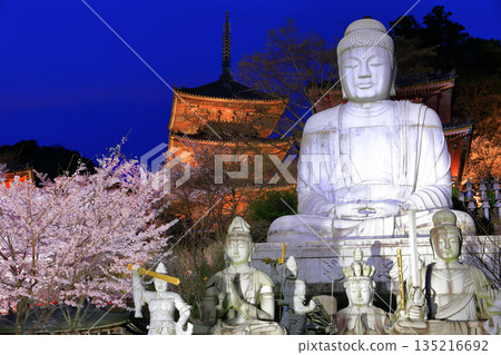 [奈良縣]櫻花盛開的坪坂寺夜景（櫻花大佛） 135216692