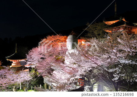 [奈良縣]櫻花盛開的坪坂寺夜景（櫻花大佛） 135216698