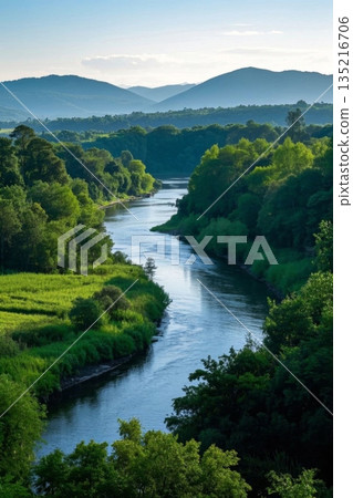 河流森林自然风光全景 135216706