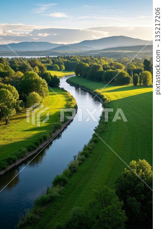 Panoramic view of natural scenery in the riverside forest Panoramic view of natural scenery in the riverside forest 135217206