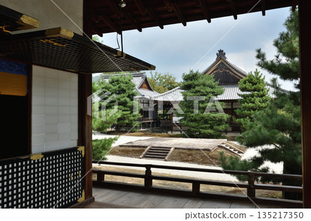 從神殿眺望大覺寺庭園(京都市右京區) 從神殿眺望大覺寺庭園(京都市右京區) 135217350