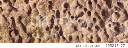 Close-up of weathered rock surface with erosion patterns and moss 135217427