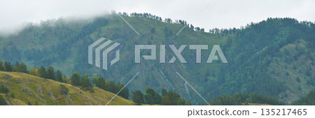 Misty green hills with dense forest and cloudy sky on a tranquil day 135217465