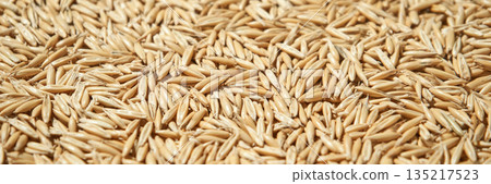 Close-up of golden oat grains in abundance with detailed texture and natural Close-up of golden oat grains in abundance with detailed texture and natural 135217523