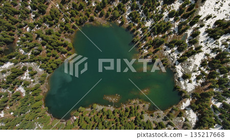 Mountain lake with snow mountains and green forest Mountain lake with snow mountains and green forest 135217668