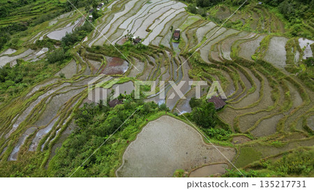 Batad Rice Terraces in Philippines Batad Rice Terraces in Philippines 135217731