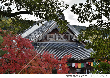 秋日的永觀禪林寺:禦江堂與楓樹(京都市左京區) 秋日的永觀禪林寺:禦江堂與楓樹(京都市左京區) 135217894