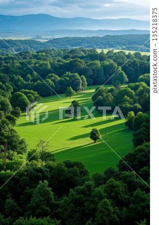 俯瞰绿色森林与开阔草地 俯瞰绿色森林与开阔草地 135218375