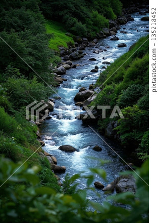山间溪流与繁茂植被景观 135218452