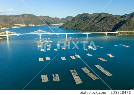 Aerial view of Bizen Hinase Bridge and oyster farming rafts in the Seto Inland Sea in winter, Okayama Prefecture Aerial view of Bizen Hinase Bridge and oyster farming rafts in the Seto Inland Sea in winter, Okayama Prefecture 135218478