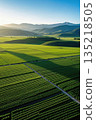 航拍绿色田野与远山风光 135218505