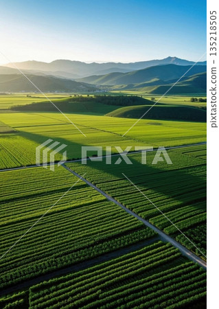 航拍绿色田野与远山风光 航拍绿色田野与远山风光 135218505