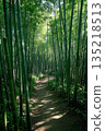 竹林中的小径 135218513
