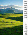 广袤绿色草原与远山风景 135218515