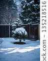 庭院中被雪覆盖的松树 135218516