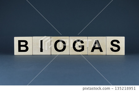 Biogas fuel. Cubes form the word biogas. 135218951