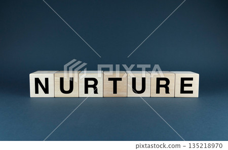 Wooden Blocks Spelling word Nurture Wooden Blocks Spelling word Nurture 135218970