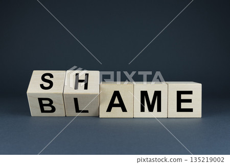 Blame or shame. Concept of social problems Blame or shame. Concept of social problems 135219002
