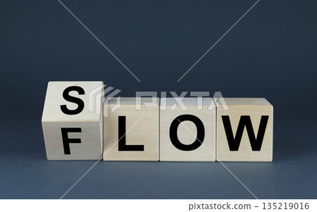 Be slow or in the flow. Business and lifestyle concept 135219016