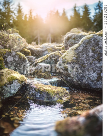 Flowing stream of clear water surrounded by moss-covered rocks in a serene natural landscape Flowing stream of clear water surrounded by moss-covered rocks in a serene natural landscape 135219293