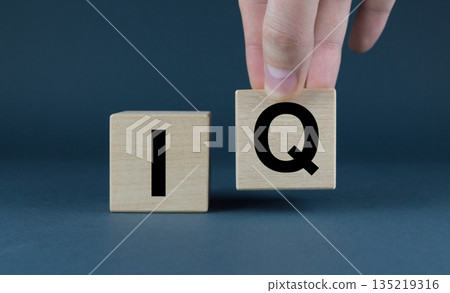 Cubes form the word IQ. Intelligence testing concept Cubes form the word IQ. Intelligence testing concept 135219316