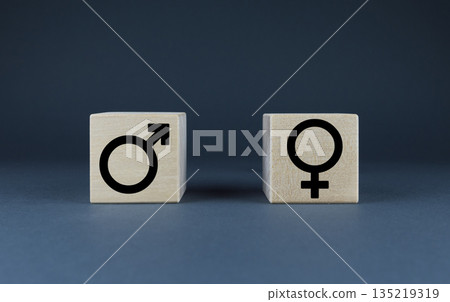 Male and female gender symbols. Equality concept 135219319