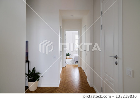 Bright chevron hallway with potted plant and open door 135219836