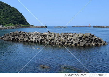 Coastal wave-dissipating block 135220035