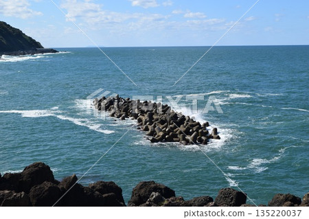 Coastal wave-dissipating block Coastal wave-dissipating block 135220037