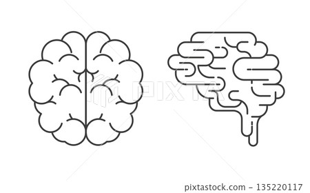 Linear abstract brain. Mental health concept illustration. 135220117