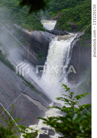 千尋瀑布，雨季，屋久島，神仙居住的島嶼（夏季） 135220150