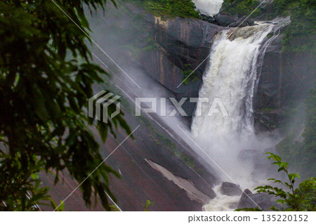 Chihiro Falls, a granite gorge, Yakushima National Park (Summer) Chihiro Falls, a granite gorge, Yakushima National Park (Summer) 135220152