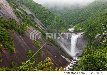 Chihiro Falls, rainy season, Yakushima, the island where gods reside (summer) 135220153