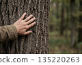 Hand touching rough tree bark in forest close up 135220263