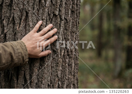 Hand touching rough tree bark in forest close up 135220263